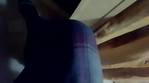 dthedog12 online show from 12.03.25