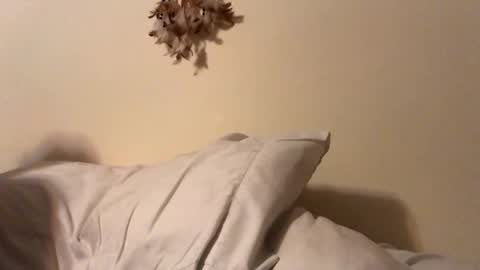 ducebabydee online show from 02.05.26