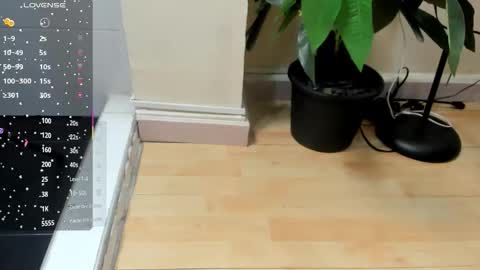 dulce__fiore07 online show from 11.28.25