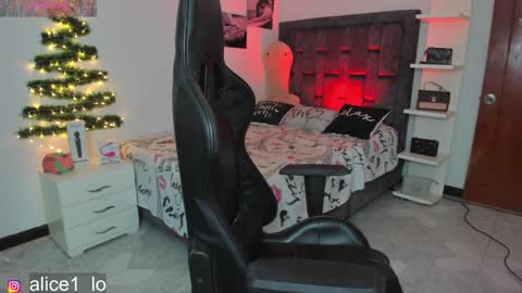 Snapshot of dulce_alice_ chatting on 12.10.24  ALICE  online show from 12.10.24