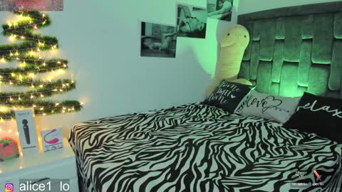 Snapshot of dulce_alice_ chatting on 12.24.24  ALICE  online show from 12.24.24