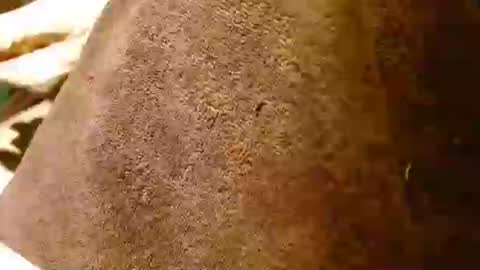 dunany101 online show from 01.28.25