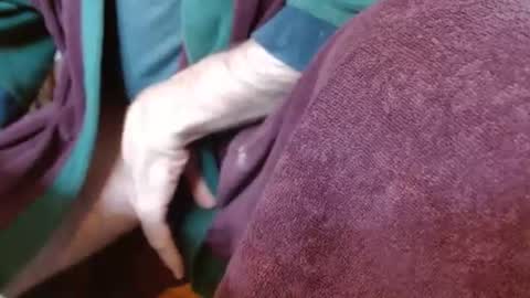 dunany101 online show from 03.04.25