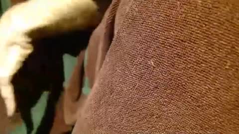 dunany101 online show from 03.05.25