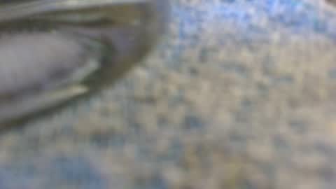 dunany101 online show from 11.02.25