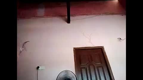 duskytamilkarthik online show from 05.16.26