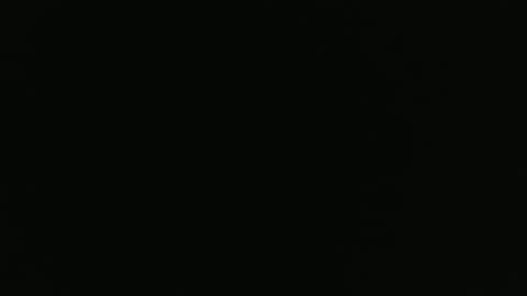 Snapshot of dvspapi chatting on 11.01.25 Delilah Papi online show from 11.01.25