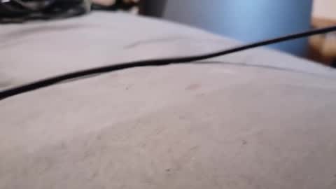 Snapshot of dwercybo chatting on 01.18.26 ted online show from 01.18.26