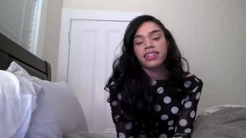 Dynasty online show from 12.15.24