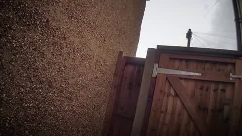 Nadia Ferreira  online show from 02.06.26