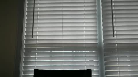 Snapshot of ebony8ivory chatting on 10.29.25 americnbarbie online show from 10.29.25