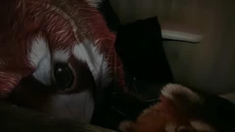 Snapshot of ebony8ivory chatting on 11.13.25 americnbarbie online show from 11.13.25