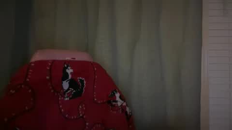 Snapshot of ebony8ivory chatting on 11.21.25 americnbarbie online show from 11.21.25