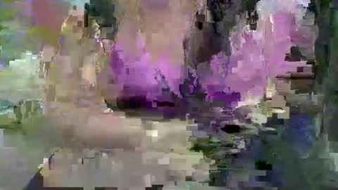 ebonybigtitqueen3 online show from 11.04.25