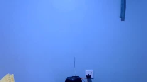 Snapshot of ebonybloom01 chatting on 11.26.25 ebonybloom01 online show from 11.26.25