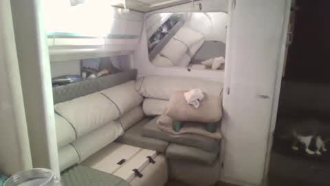 Snapshot of ecko6romeo chatting on 12.02.24 Tim online show from 12.02.24