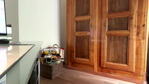 Edginghandjober online show from 03.23.26