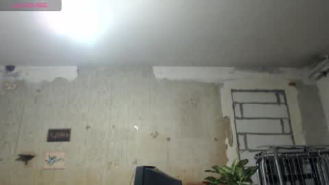 Alexander online show from 12.22.24