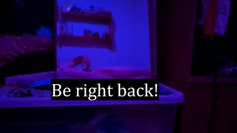 Alex online show from 02.07.26