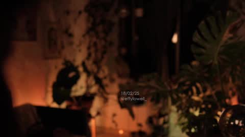 Effy online show from 02.19.25