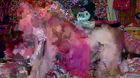 Snapshot of egirlhaile chatting on 02.18.25 Sparkly Haile online show from 02.18.25