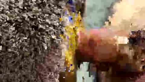 ehdgher online show from 09.19.25