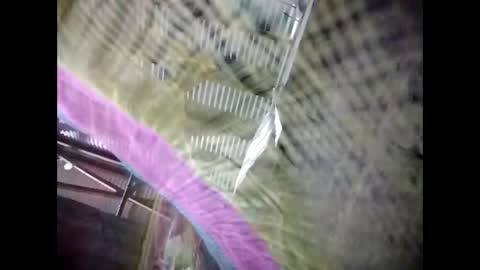 Snapshot of eirma7991 chatting on 02.25.26 eirma7991 online show from 02.25.26