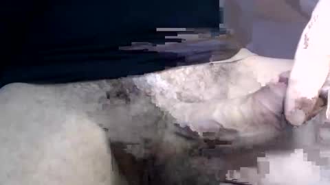 el gato lusty online show from 01.30.25