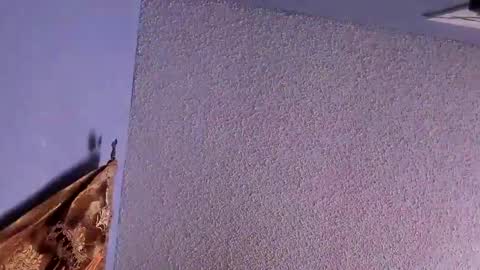 Santos online show from 02.07.25