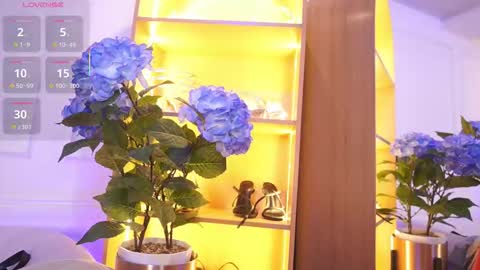 Elasummeer online show from 11.20.25