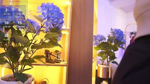 Elasummeer online show from 11.24.25