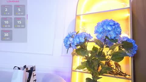 Elasummeer online show from 11.28.25