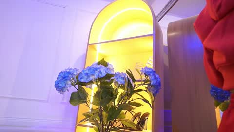 Elasummeer online show from 01.15.26