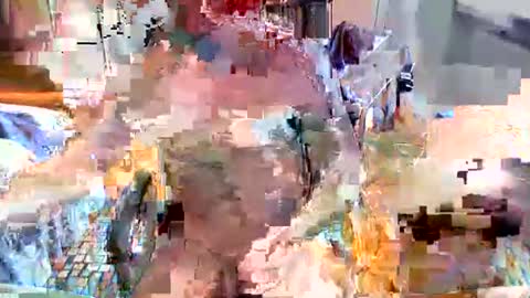 elbasca online show from 02.18.26