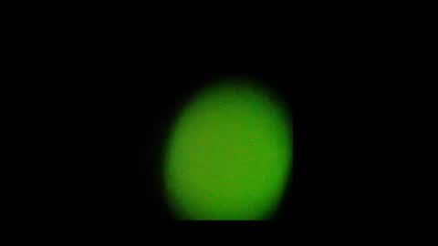 Nando online show from 10.24.25