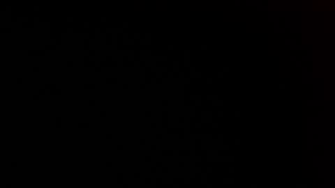 elessar_telcontar online show from 01.27.25