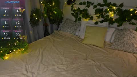 Elfa online show from 04.01.26