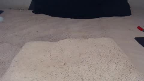 elgsslt online show from 11.23.25