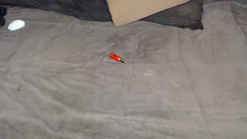 elgsslt online show from 03.11.26