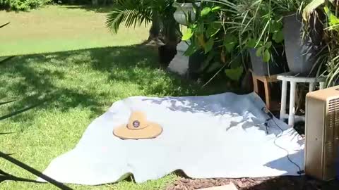 eliberator online show from 09.21.25