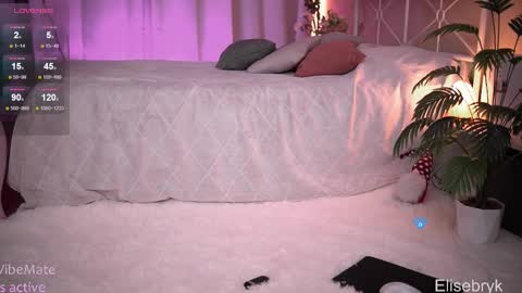 Snapshot of elise_bryk chatting on 11.27.25 hiIm Elise online show from 11.27.25