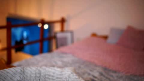 Sunflower  online show from 01.16.26