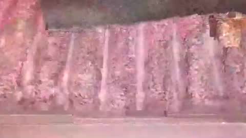 eliterd online show from 10.27.25