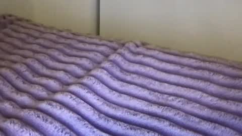 eliterd online show from 11.13.25