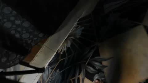 elithcoup_cum online show from 12.07.24