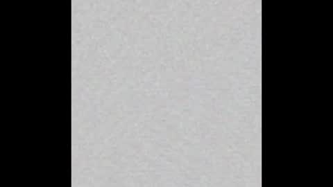 Snapshot of ellies_room chatting on 11.02.25 Ellie online show from 11.02.25