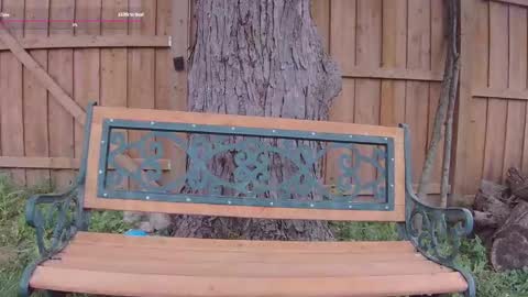 Snapshot of ells_palace chatting on 09.13.25 Ella Bella Bo Bella online show from 09.13.25