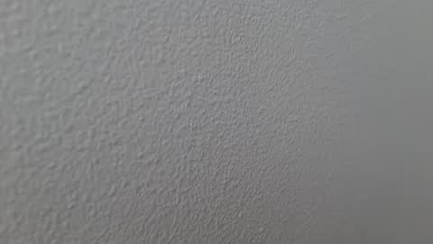 elosocazador online show from 12.13.24