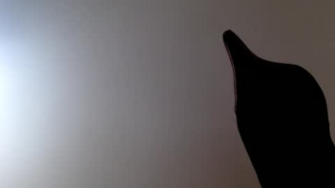 elosocazador online show from 12.19.25