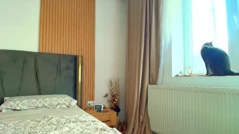 Ely online show from 10.01.25